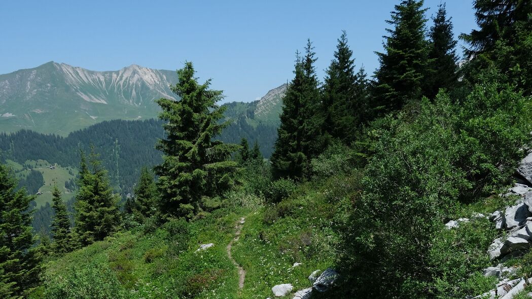 4K超高清踪迹风景壁纸，树木、山脉、草地美景，3840x2160分辨率下载