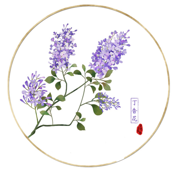 中国风手绘丁香花插图，唯美圆形PNG透明图片，动植物元素设计素材免费下载