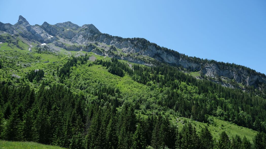 树影婆娑山坡草，绝美4K风景壁纸，高清3840x2160免费下载