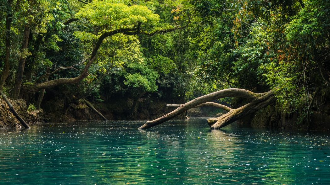 高清4K风景壁纸，河流树木细节尽显，3840x2160超清画质下载