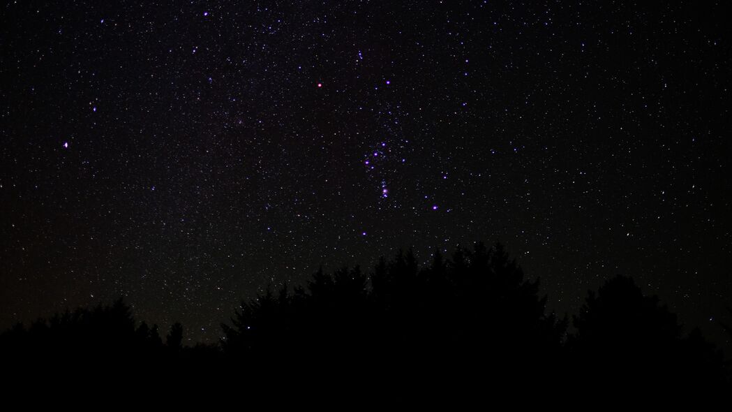 树木映月，星空璀璨，夜间4K高清壁纸，3840x2160超清下载