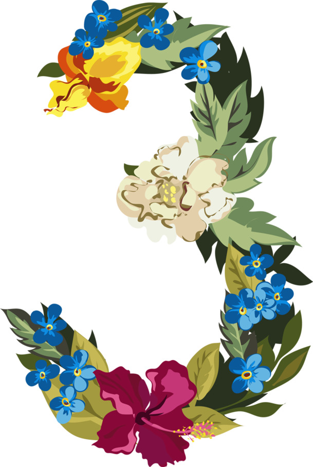 创意数字花环PNG透明图，高清漂浮花瓣设计素材，免费下载
