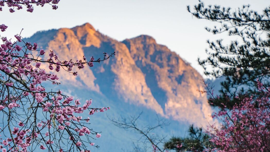 自然之美，4K高清花树山川壁纸，3840x2160分辨率，尽享视觉盛宴！