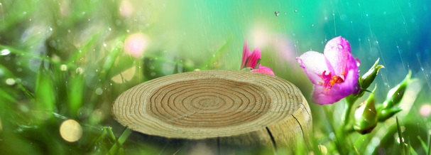 电商护肤品，绿色梦幻清新背景Banner，高清PNG透明图，创意设计素材免费下载