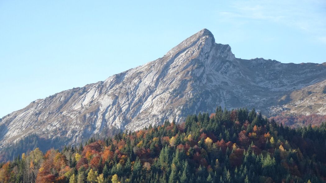 山景森林4K超高清壁纸，斜坡自然美景，3840x2160分辨率免费下载