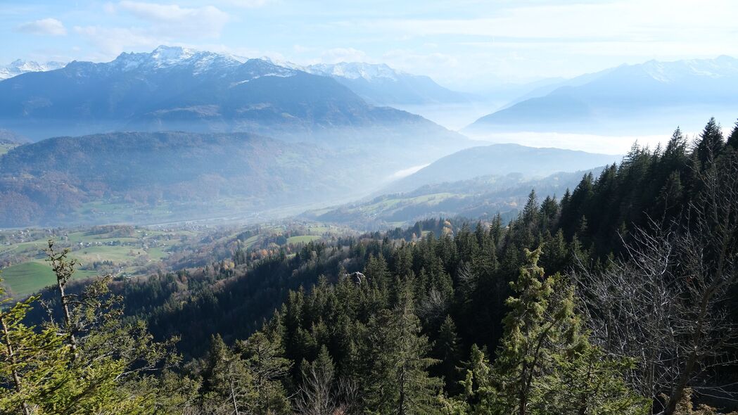 森林树木山谷斜坡山脉雾景，4K高清壁纸3840x2160，超清风景图片免费下载