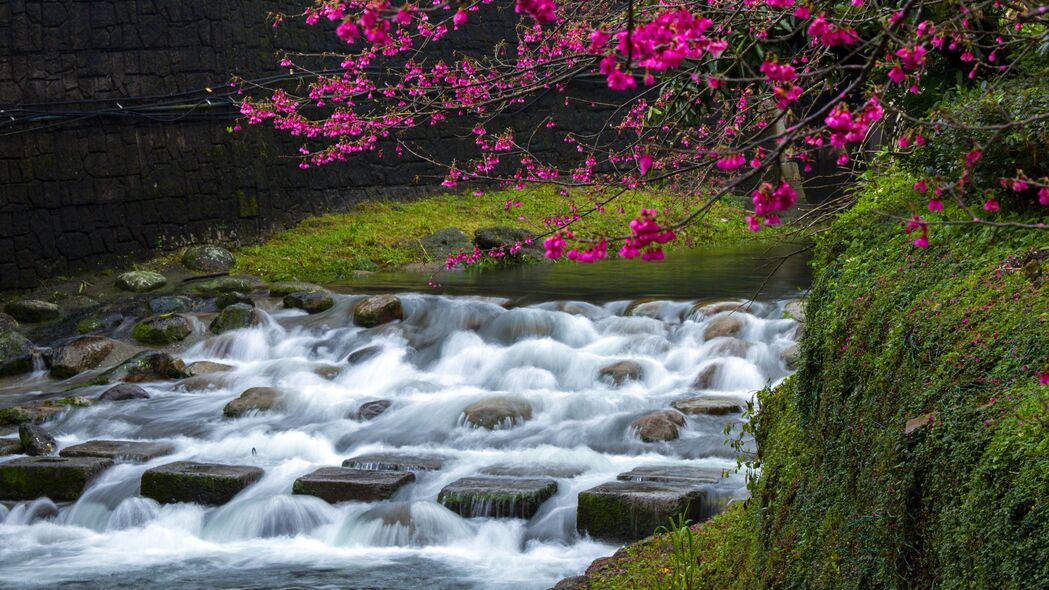 高清4K樱花瀑布壁纸，树枝石头交织，自然美景尽在眼前，3840x2160分辨率下载