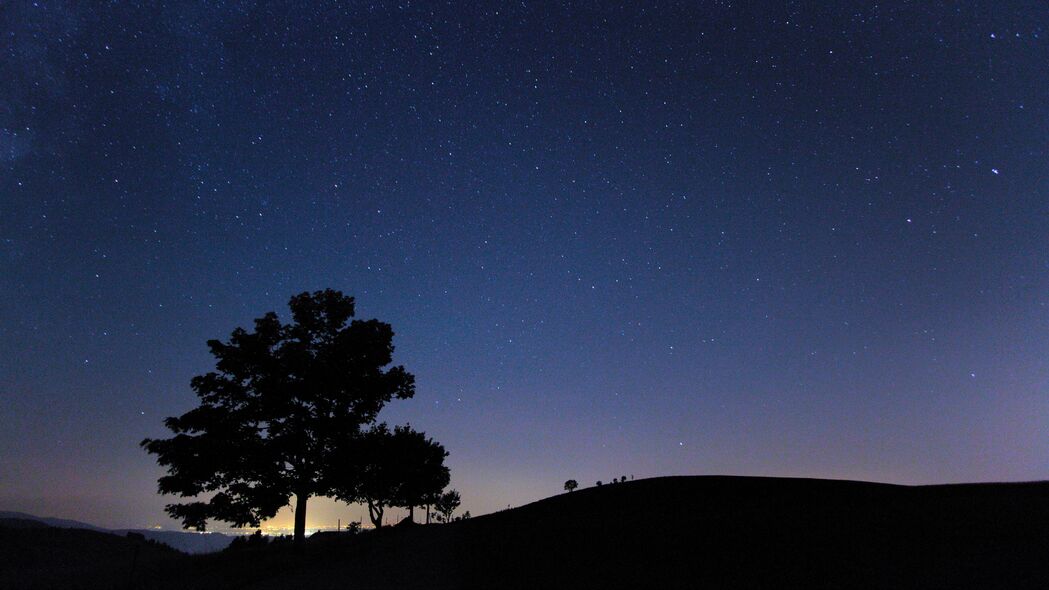 夜晚星空下的树影剪影，绝美4K壁纸，高清3840x2160背景图片免费下载