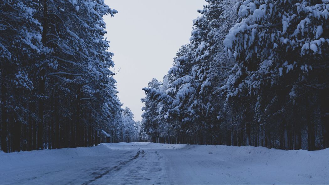冬日雪景，森林道路树木4K高清壁纸，3840x2160超清下载，尽享自然之美