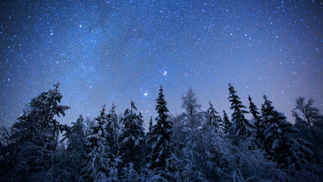 冬夜星辰下的云杉雪景，4K高清壁纸，3840x2160自然美景下载