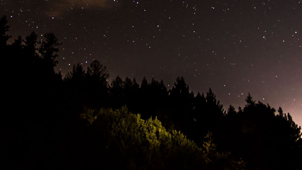 森林星夜剪影，自然之美尽在4K高清壁纸，3840x2160超清下载