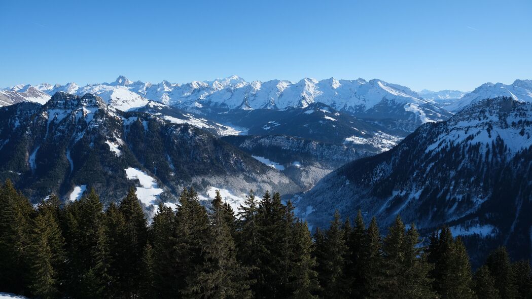 森林山脉雪景4K高清壁纸，树木自然之美，3840x2160超清下载
