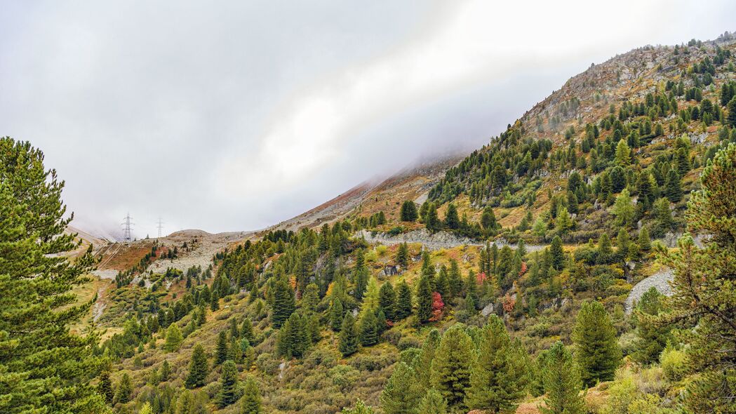 山雾林景绝美壁纸，4K高清3840x2160分辨率，一键下载山坡树雾美景