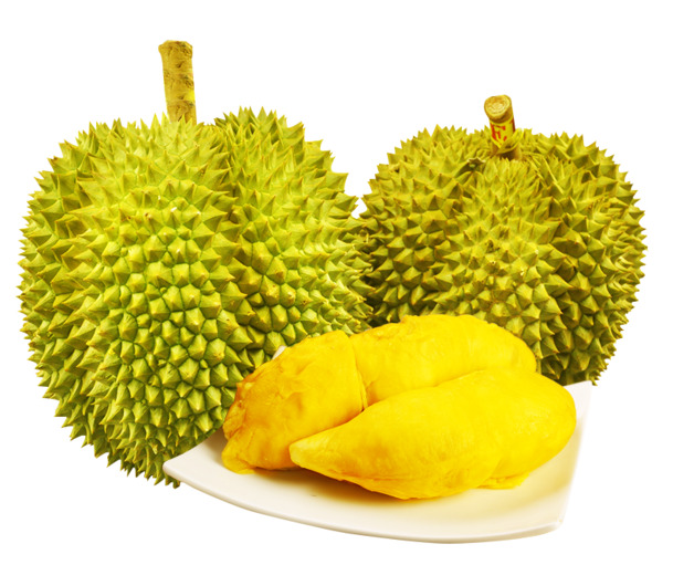 榴莲实物图，高清PNG透明装饰元素，植物设计素材下载
