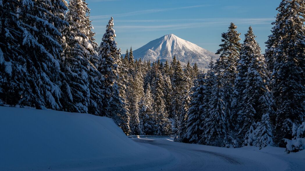 冬日雪中山林风景，高清4K壁纸，3840x2160分辨率，自然美景尽在眼前