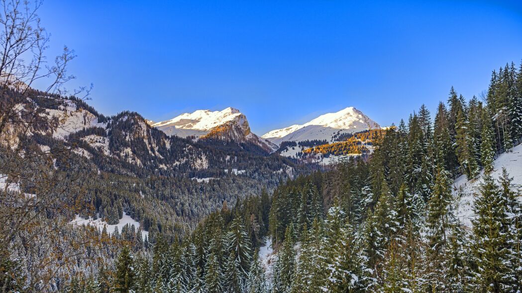 冬日山脉雪景高清壁纸，树木披霜，自然之美尽显，4K超清3840x2160免费下载