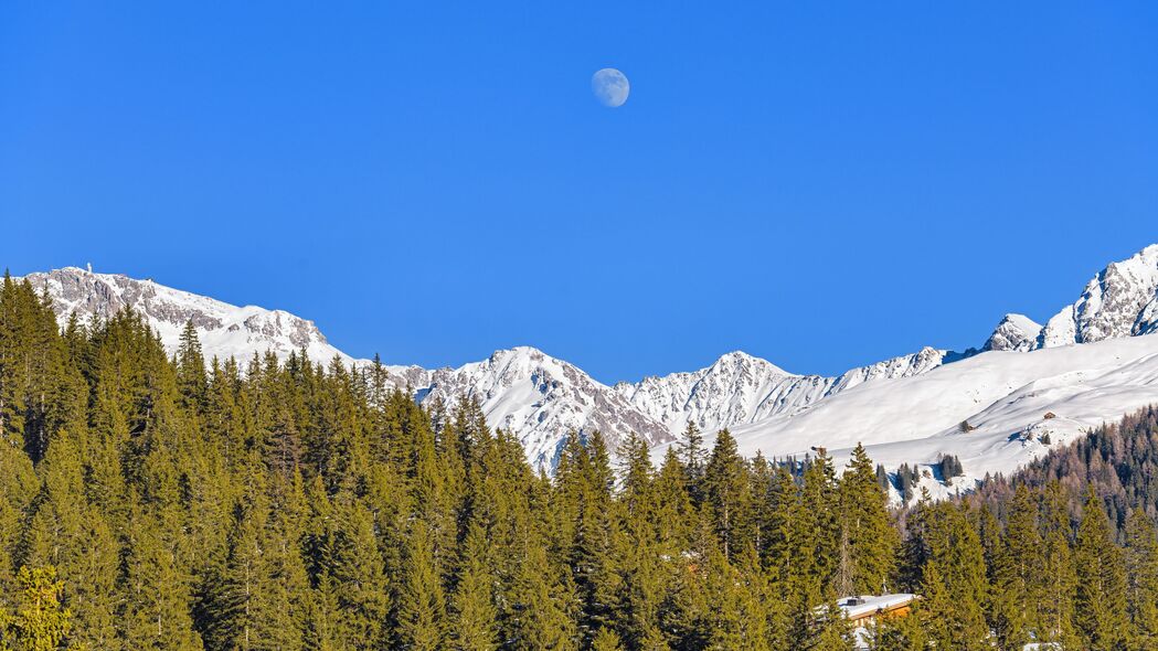 绝美山脉森林雪景，4K高清壁纸，3840x2160分辨率，自然景观尽收眼底！