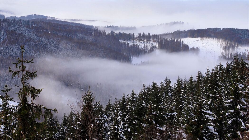 森林雪景高清壁纸，4K自然风景，树木与云共绘，3840x2160超清下载