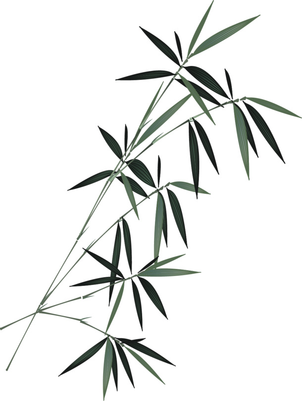 竹子PNG透明图，高清装饰元素，笔触墨迹设计素材，免费下载