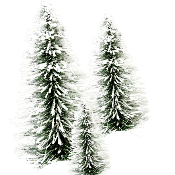 圣诞节雪松PNG透明图，高清节日元素，设计素材免费下载