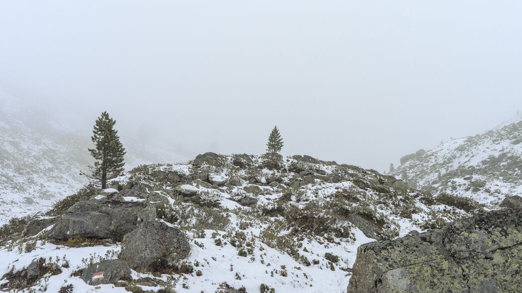 4K超高清自然风景壁纸，树影婆娑丘陵雪雾，3840x2160精美画质下载
