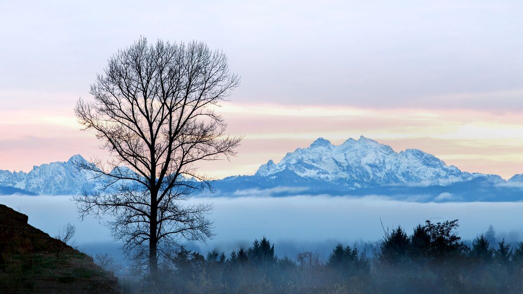 绝美树雾山景，4K高清壁纸，3840x2160分辨率，免费下载