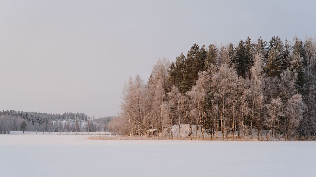 冬日雪景树木高清壁纸，4K超清自然风景，3840x2160分辨率，免费下载