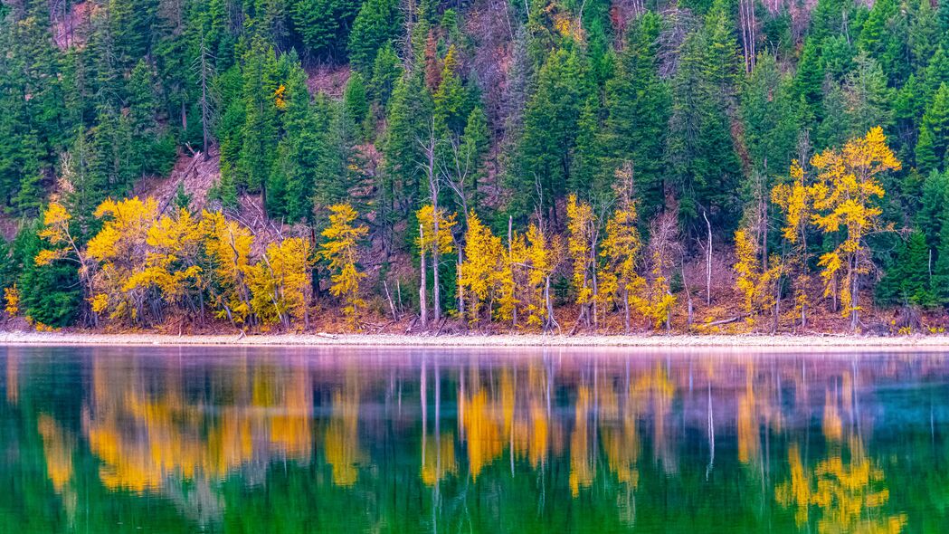 秋日森林湖泊倒影，高清4K自然风景壁纸3840x2160下载