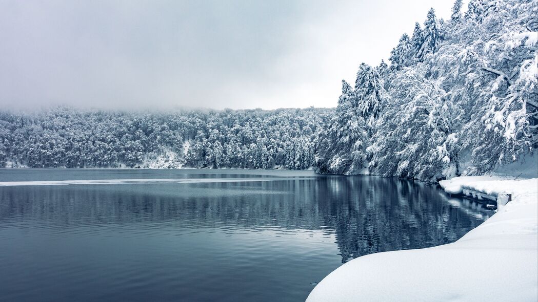 冬日森林雪景高清壁纸，树木湖泊自然美景，4K超高清3840x2160下载