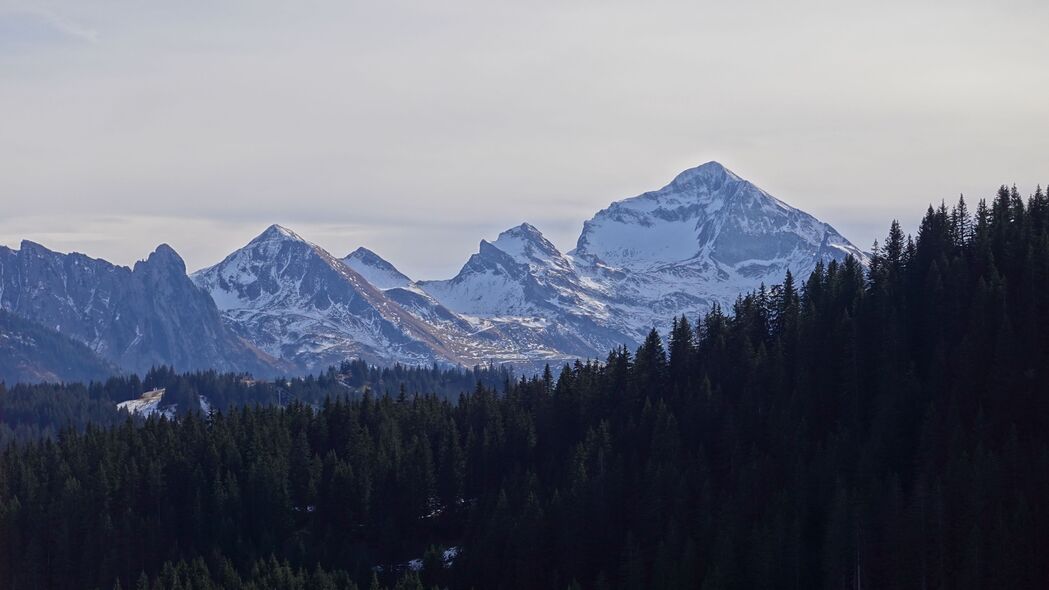 绝美山脉雪景森林树木自然风光，高清4K壁纸3840x2160免费下载