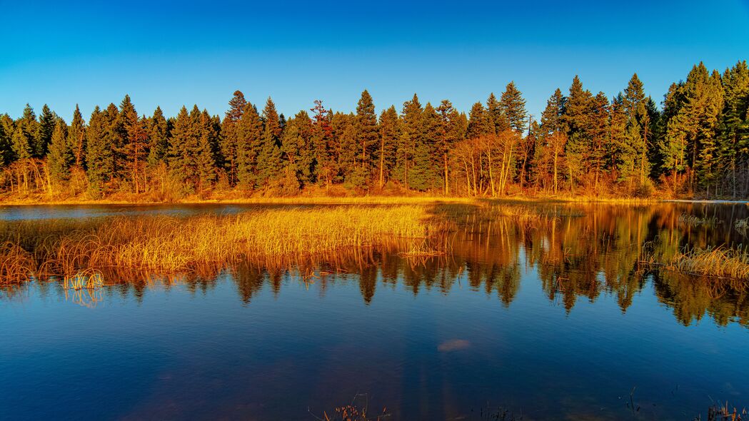绝美湖泊森林，树木丛生自然景，4K超清壁纸，3840x2160高清下载