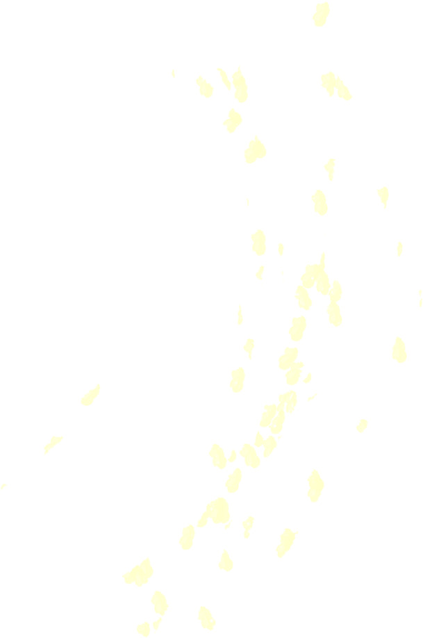 高清PNG透明图片，漂浮黄色花瓣元素，创意设计素材免费下载