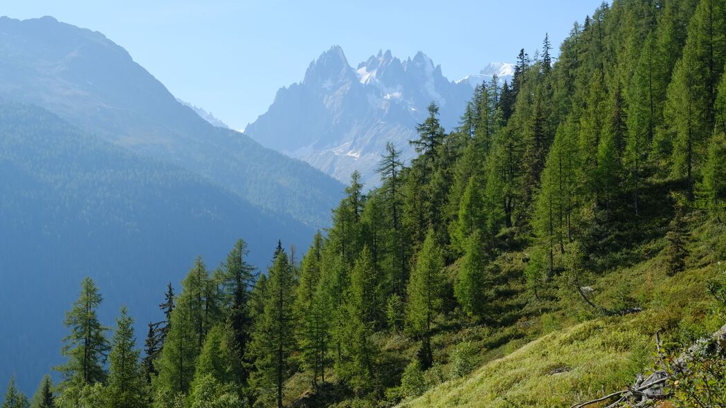 绝美山峰坡树风景，高清4K壁纸，3840x2160分辨率，免费下载