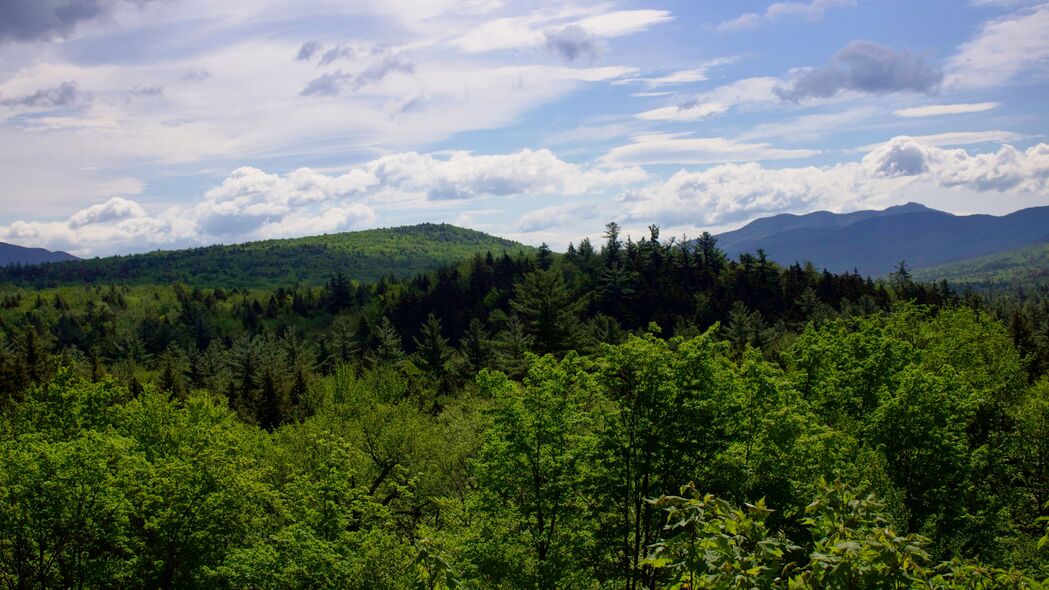 4K超高清山脉树木鸟瞰图，自然风景壁纸，3840x2160免费下载