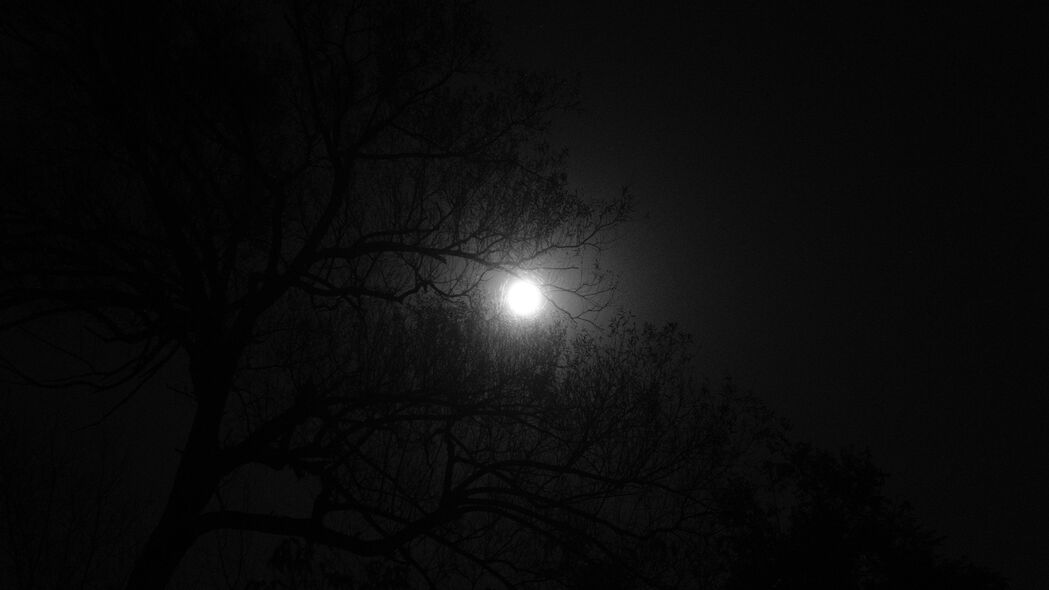 夜晚深色树影与月亮之美，4K高清壁纸，3840x2160分辨率，免费下载