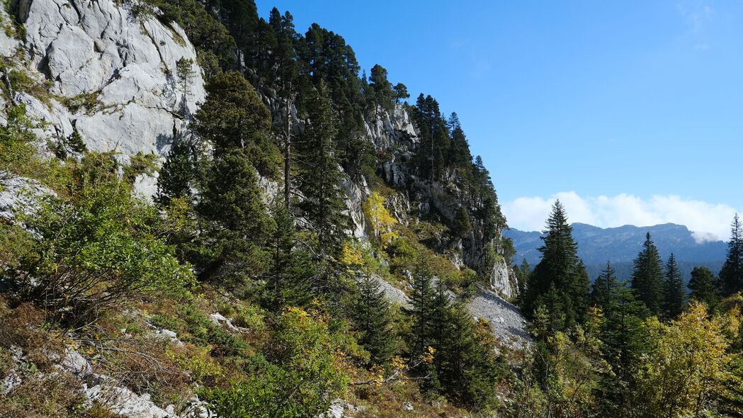 绝美山脉森林4K壁纸，高清绿色自然风景，3840x2160分辨率下载