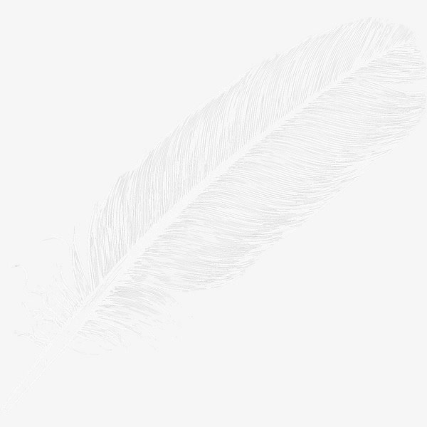白色羽毛图案PNG，高清透明装饰元素，动物设计素材下载