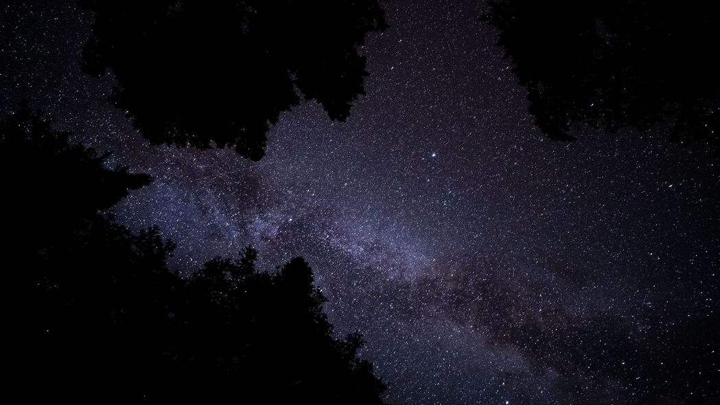暗夜银河，深邃星空下树木剪影，超清4K壁纸（3840x2160）免费下载
