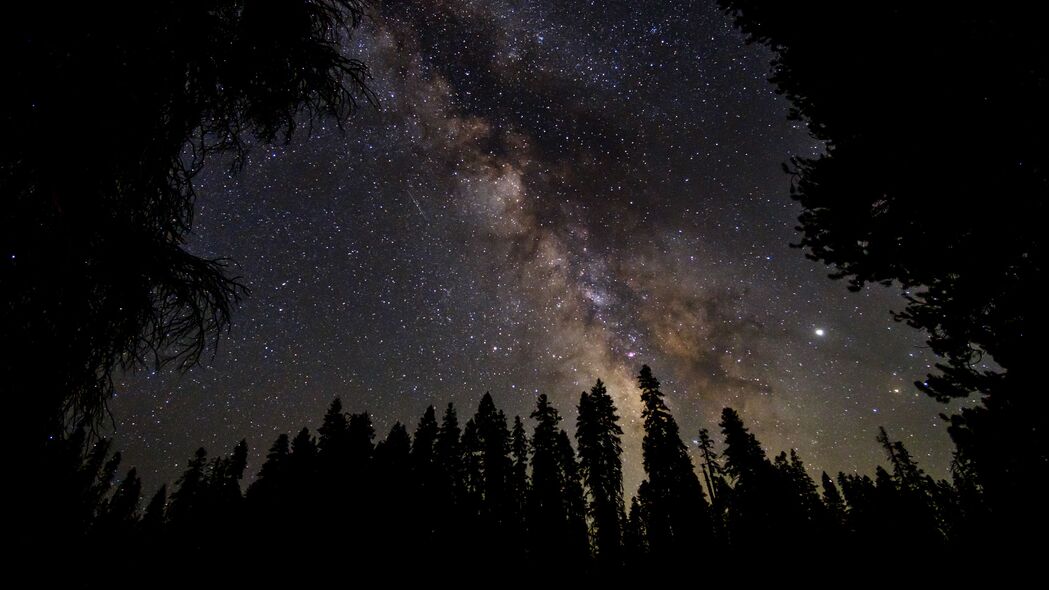 银河星空深邃森林之夜，4K超清壁纸，3840x2160高清下载