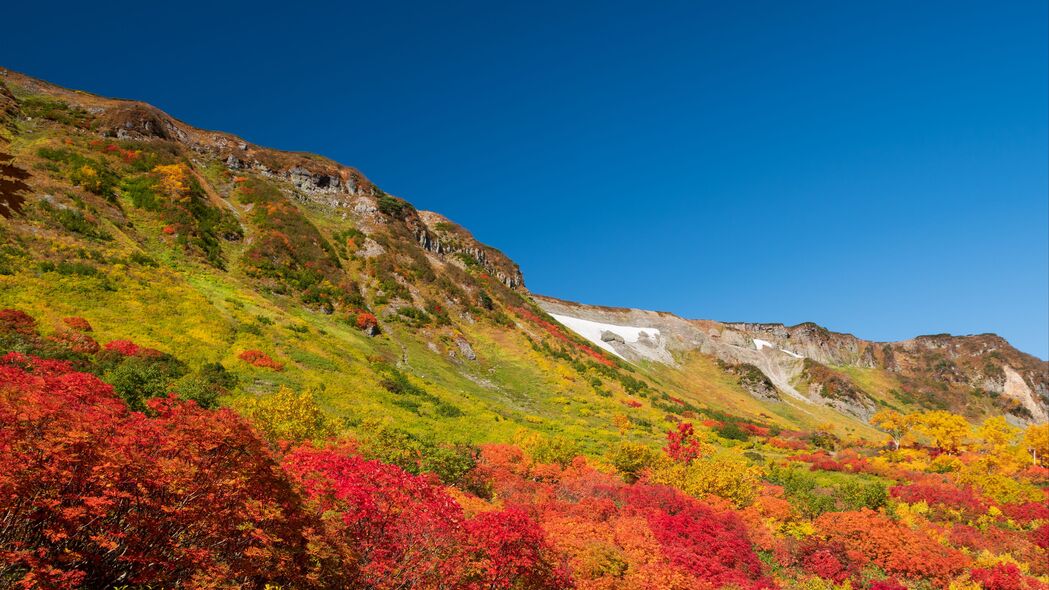 秋日山景如画，高清4K树木壁纸，3840x2160分辨率免费下载