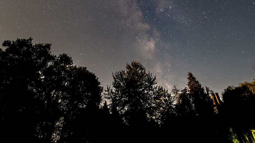 银河璀璨星空，深色夜晚树影婆娑，超清4K壁纸3840x2160高清下载
