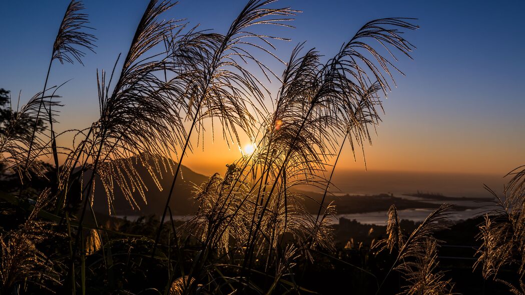 麦穗摇曳映日落，绝美4K风景壁纸，3840x2160超清下载
