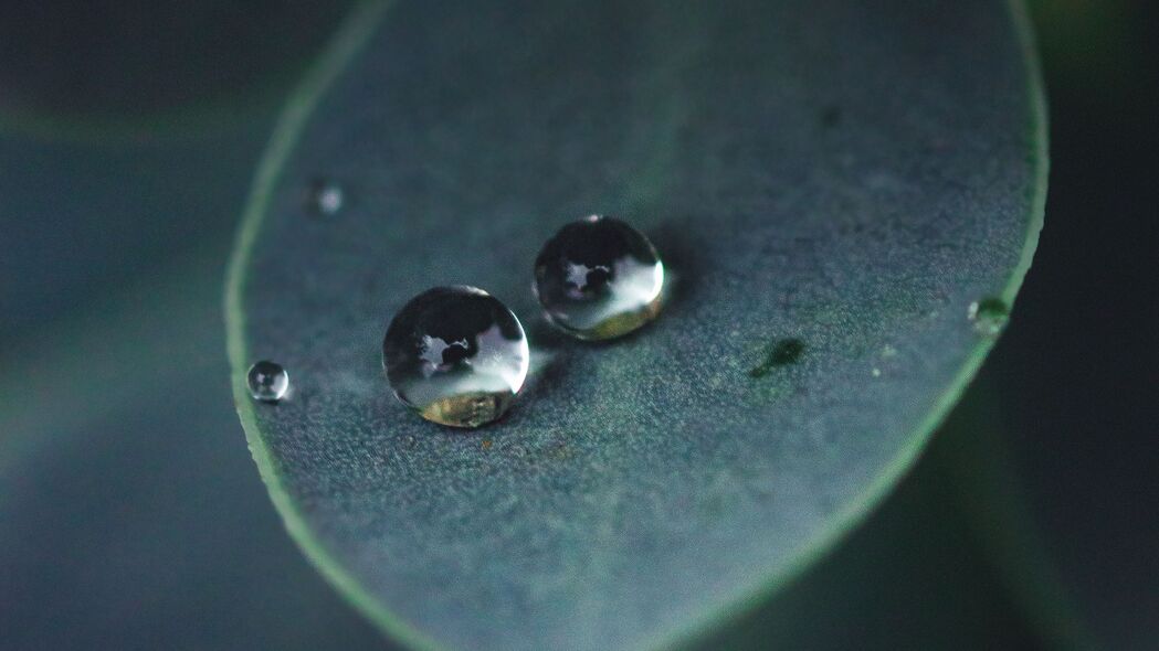 水滴眩光绿意，微距捕捉4K高清，3840x2160超清壁纸下载