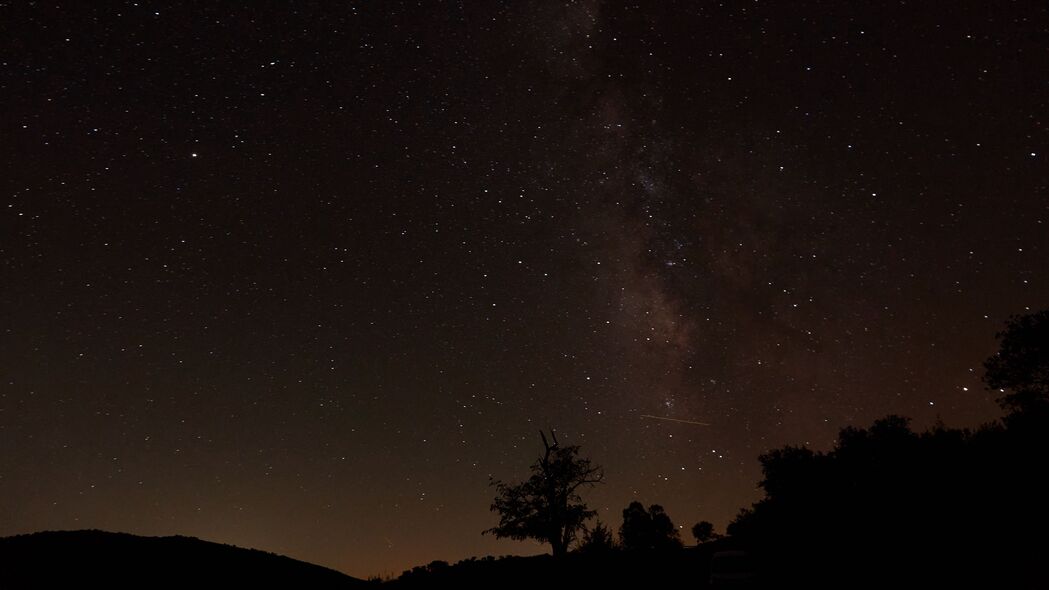 夜晚星空下的树木剪影，深色调4K高清壁纸，3840x2160超清风景图片下载