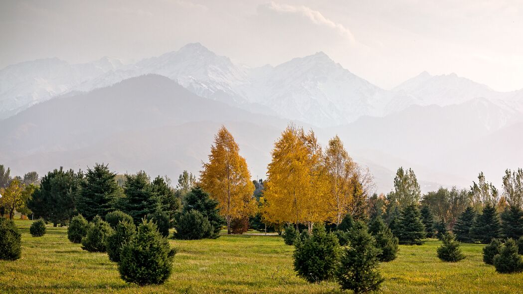 秋日雾绕山脉，树木如画，绝美4K风景壁纸（3840x2160高清下载）