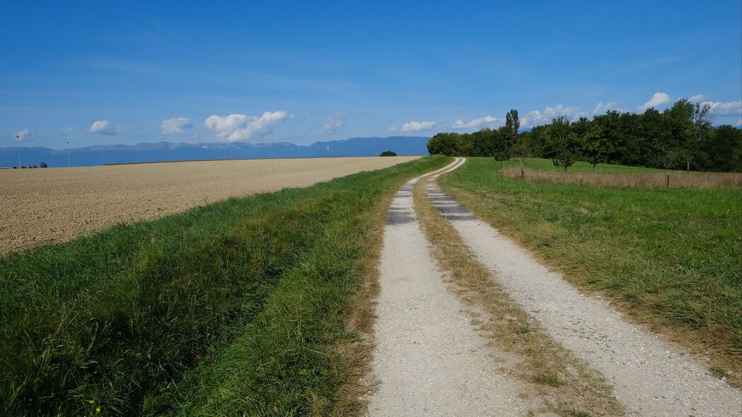 4K高清风景壁纸，3840x2160超清画质，树木路径美景尽收眼底，免费下载！