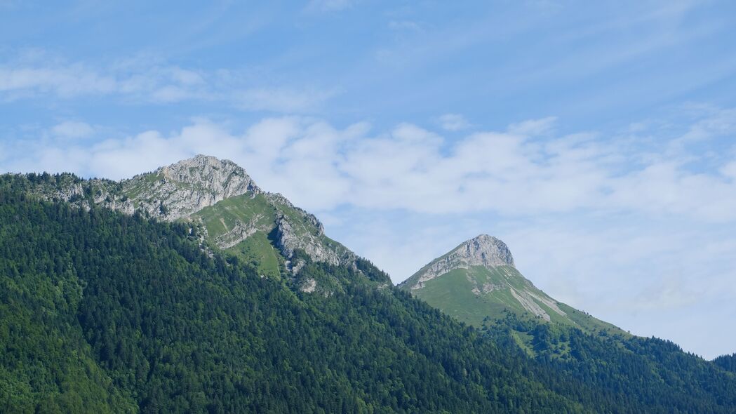 自然山地森林景观，4K高清壁纸下载，树木繁茂，美景如画（3840x2160）