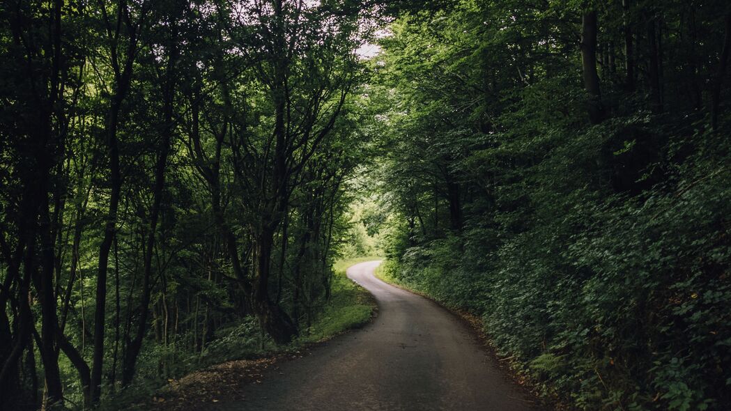 自然之美，4K高清森林转弯道路风景壁纸，3840x2160超清下载