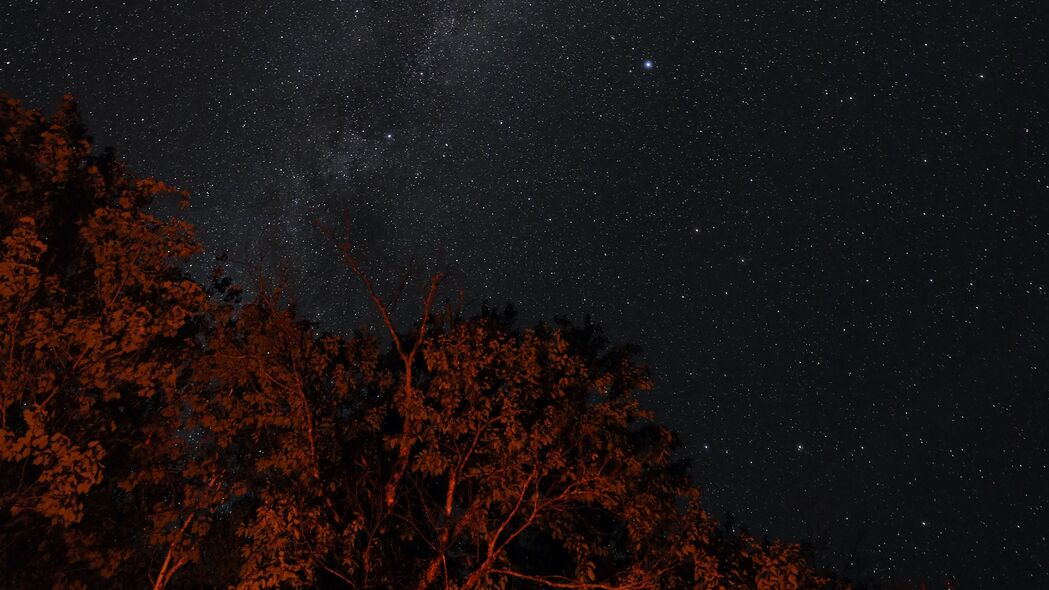 星空之夜，深色背光树木，绝美4K壁纸，高清3840x2160下载