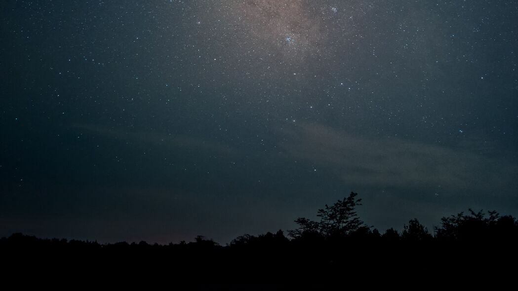 夜空银河繁星闪耀，深色树木映衬4K高清壁纸，3840x2160超清下载
